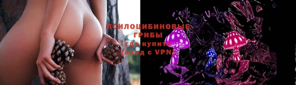 кокс Алексеевка