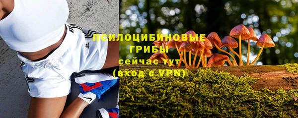 кристаллы Абаза