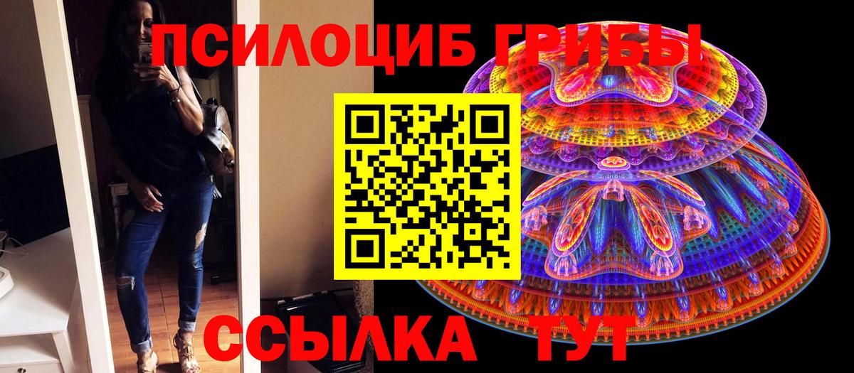 Архангельск  Псилоцибиновые грибы MAGIC MUSHROOMS  Вход с VPN 