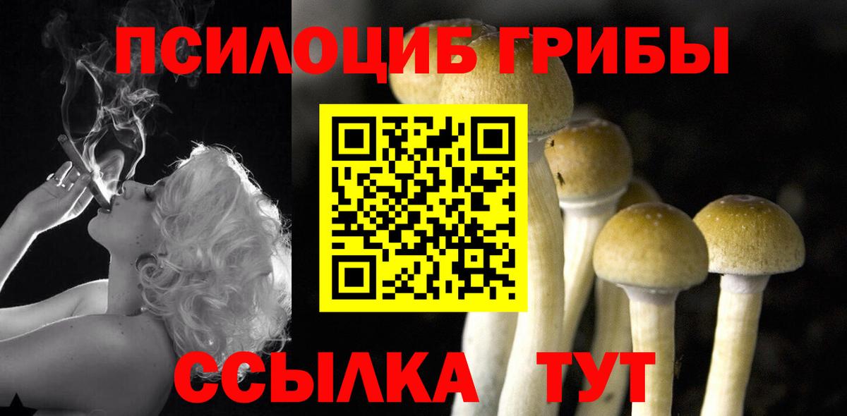 Псилоцибиновые грибы MAGIC MUSHROOMS Архангельск
