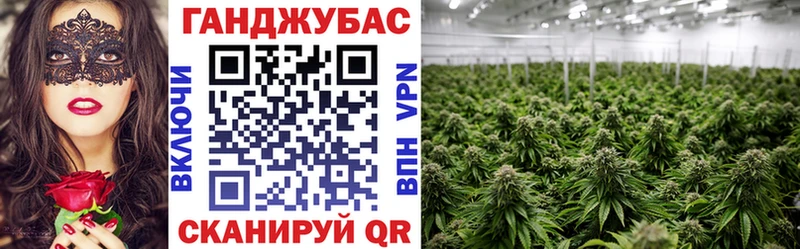 Каннабис сатива  Архангельск 
